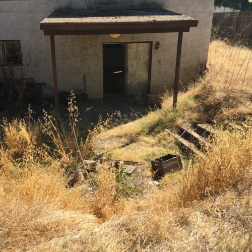 Overgrown yard with a building